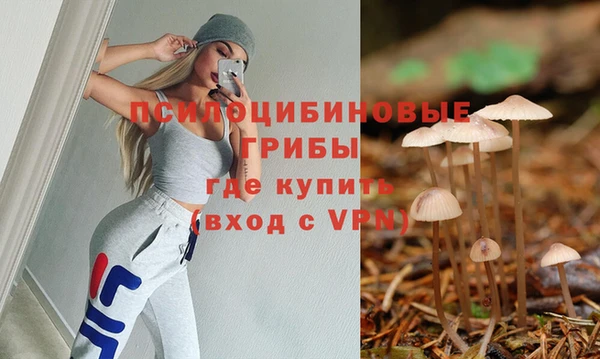 apvp Армянск