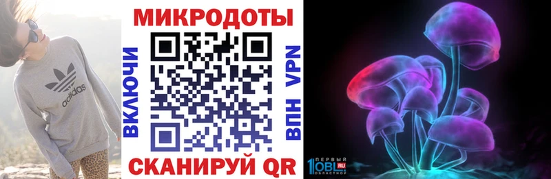 купить   Суровикино  OMG tor  Галлюциногенные грибы Psilocybe 